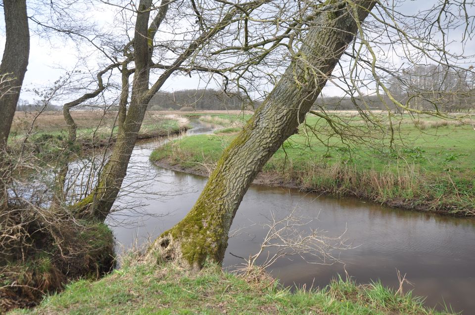 De Drentsche Aa te Schipborg