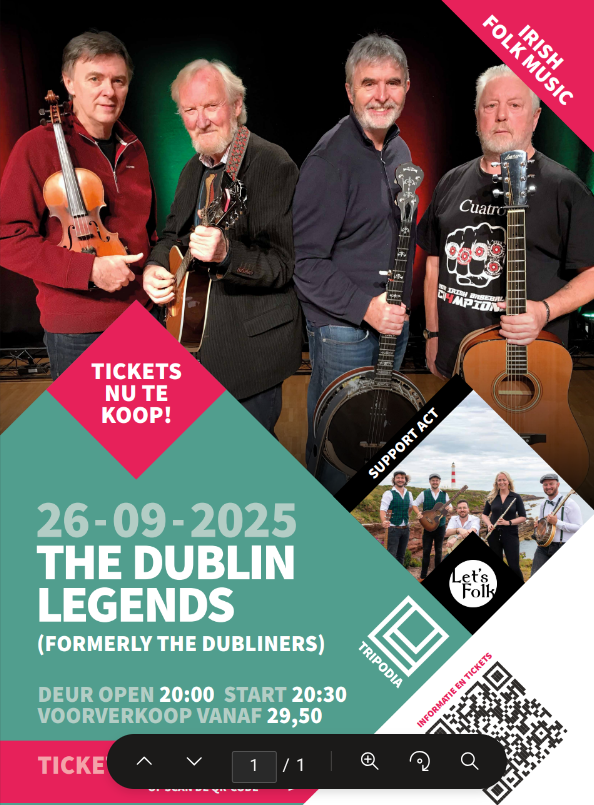 Afbeelding van de poster van de band The Dublin Legends