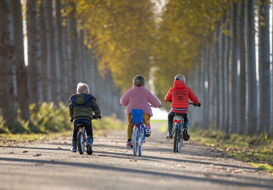 Drie kleine kinderen fietsen over een pad tussen de bomen door