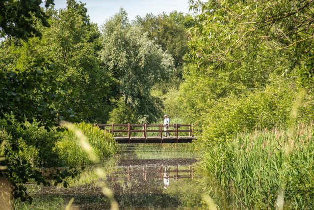 De natuur in Geldrop-Mierlo
