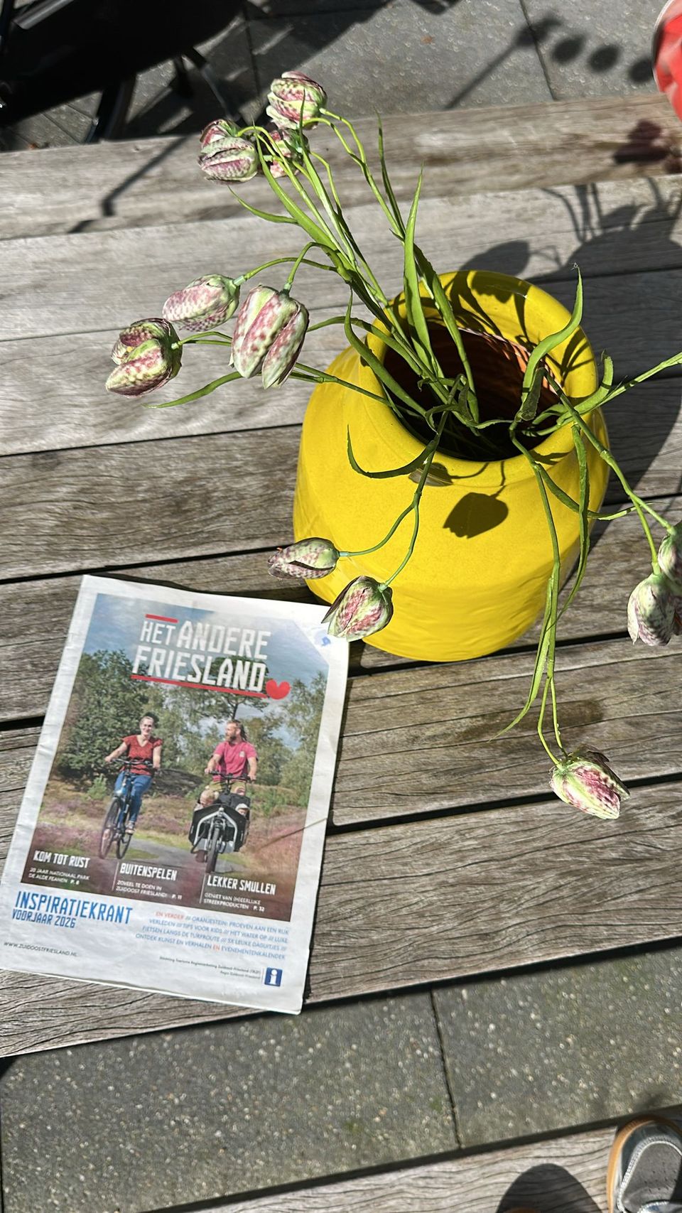 Inspiratiekrant Zuidoost-Friesland