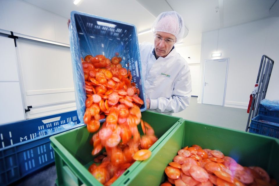 In de Verspillingsfabriek in Veghel worden o.a. tomaten verwerkt in soep en sauzen