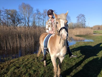 Free horse riding and/or walking with the donkey Beek en Donk