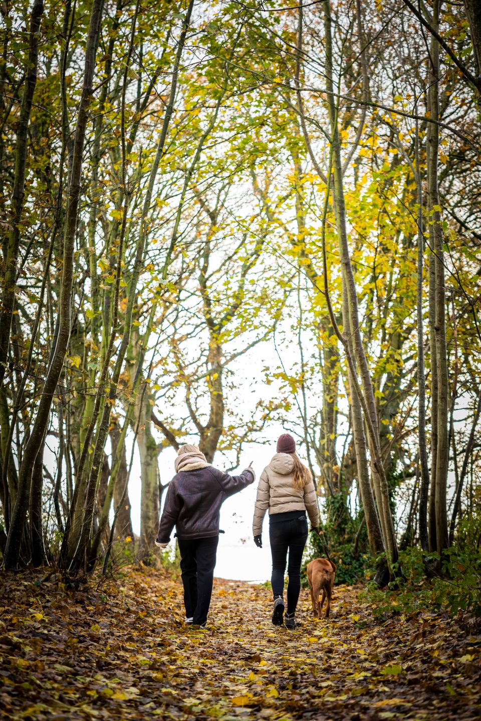 Twee wandelaars lopen over een bospad in Gaasterland in de herfst.