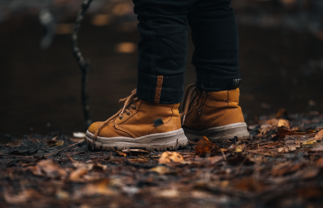 2 mosterdgele kinderschoentjes te midden van de herfstbladeren in het bos.