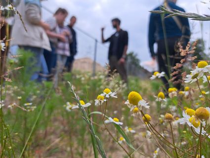 Nature guide training Aarle-Rixtel