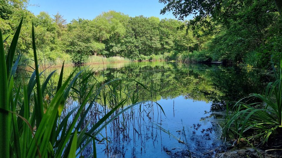 Klaas Douwesvijver klein
