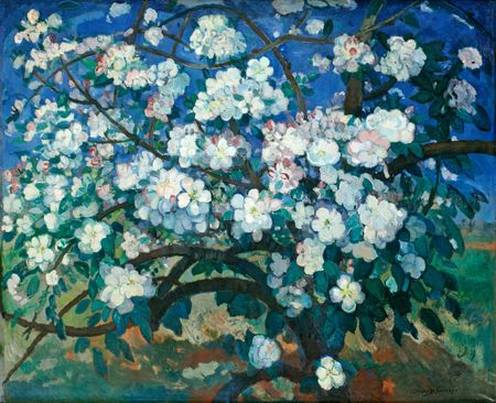 foto: Ton Hartjens, Deurne