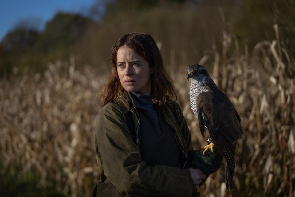 Film - H Is For Hawk