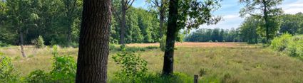 IVN-KNNV | Wandeling Willinks Weust