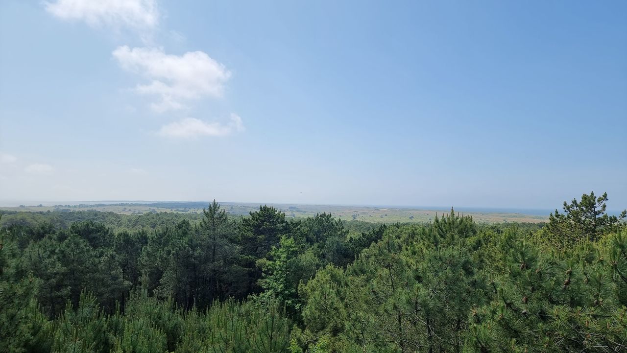 Uitzicht vanaf uitkijktoren