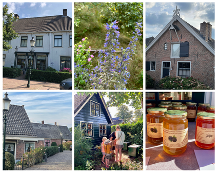 collage met bloemen, planten en potjes honing