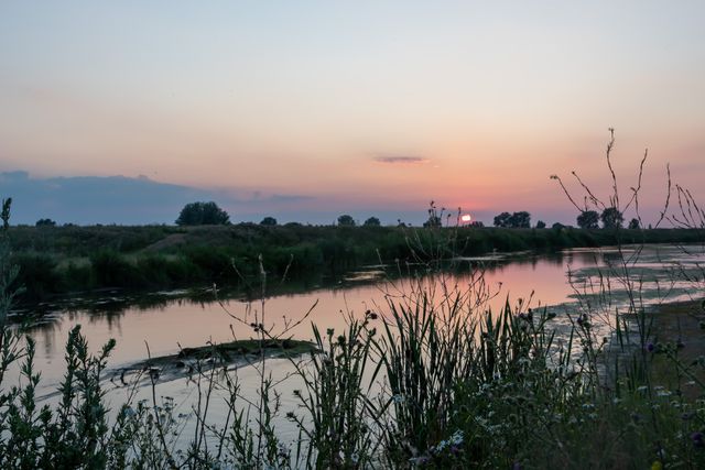 Ondergaande zon boven natuurgebied