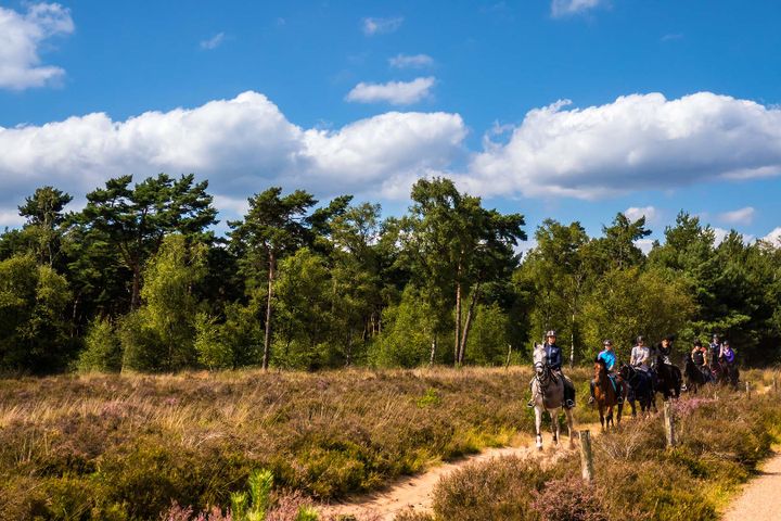 Paardrijden in Valkenswaard