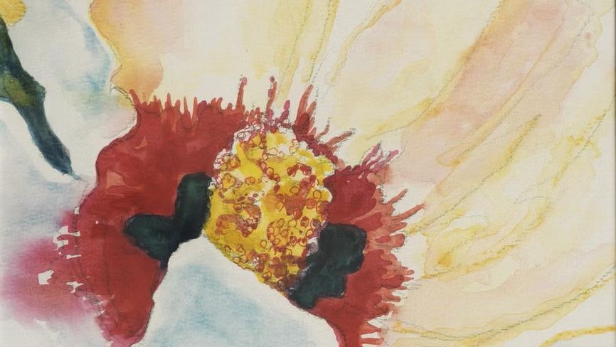 Grote bloem in wit gele tinten en in het midden een rode met gele kern.