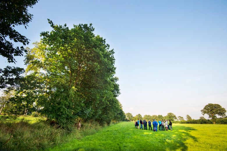 Rechtenvrij staat in beeldbank -
Eastermar, groen, lente, wandelen