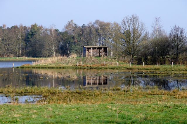 Vogelkijkhut bij Beleven Reusel