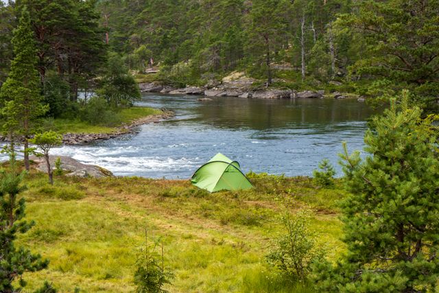 Kamperen in Nederland