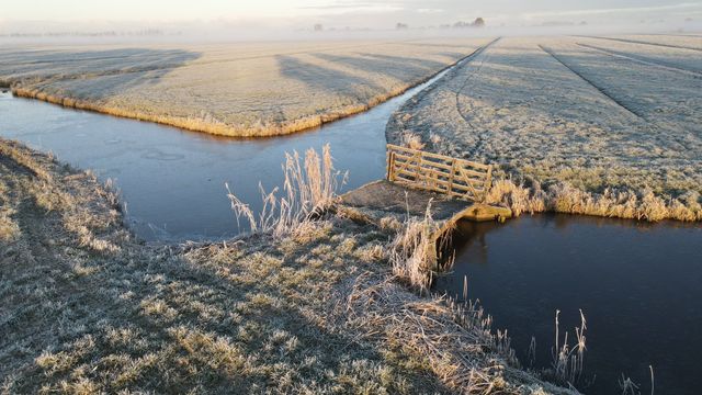 Winter in het Groene Hart: besneeuwd polderlandschap met water