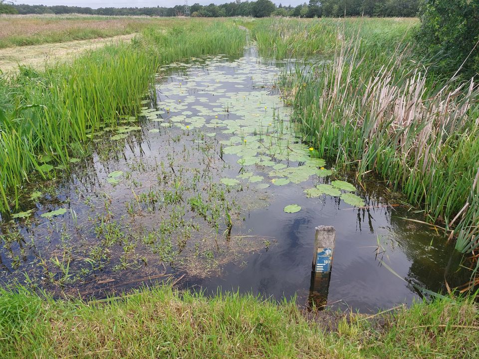 De Broekenloop is hier nog recht, maar zal binnenkort weer meanderen.