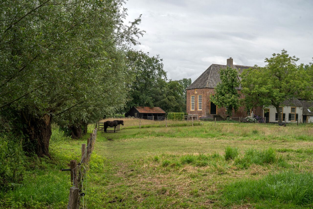 Weiland om Groot Duijfhuis heen waar een paardje in staat