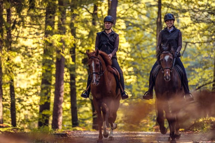 Paardrijden in Valkenswaard De Groote Heide