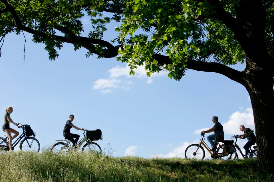 Foto van fietsers op de lekdijk