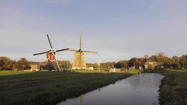 Molens bij Oud Zuilen in de Vechtstreek