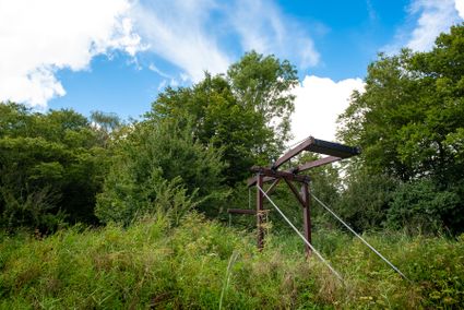 Brug in het Westerpark in Zoetermeer.