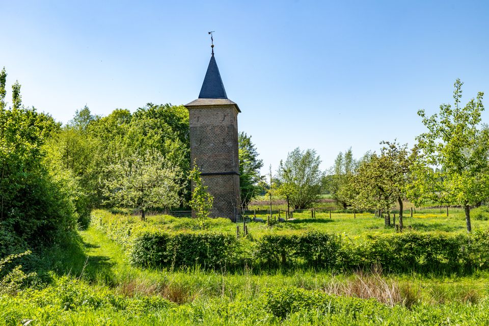 Liempde natuur