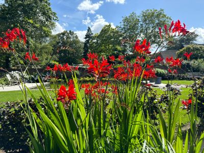 Tuin tijdens Achterom in Oirschot