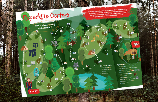 Het speelbord van Expeditie Oerbos met op de achtergrond bomen.