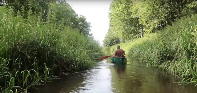 Een man vaart met zijn kano door het water in de Drentse natuur.