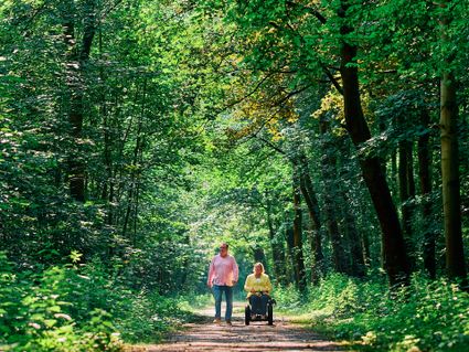 Een wandelaar en rolstoeler op de Pelgrimsroute door de Hollandse Hout