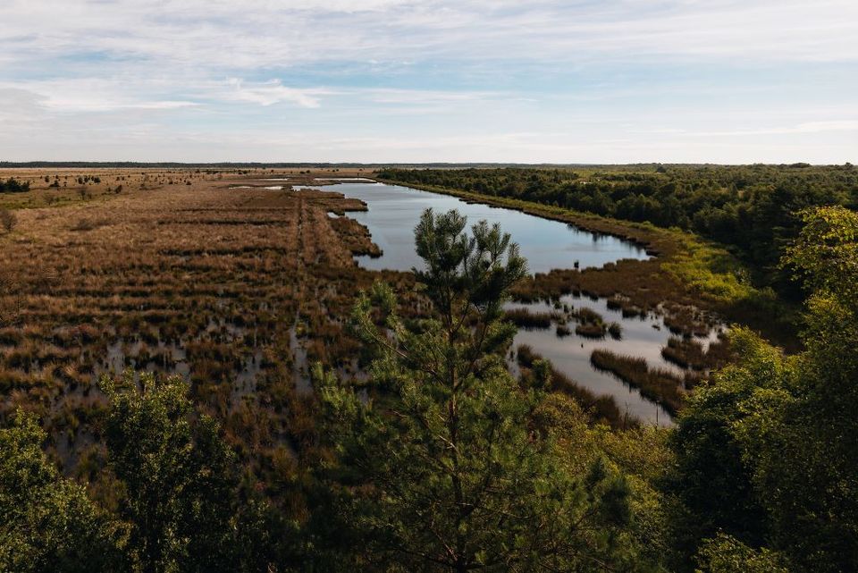 Ein Drohnenfoto vom Fochteloërveen