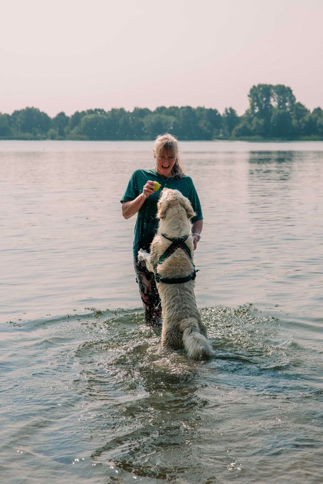 Hond met baasje op recreatiegebied