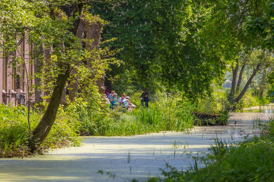 Water in Veenhuizen zomer 2022
