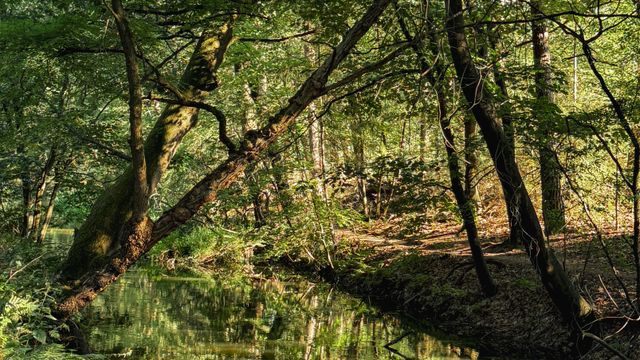 Kanaaltje Beestenveld Lanenroute