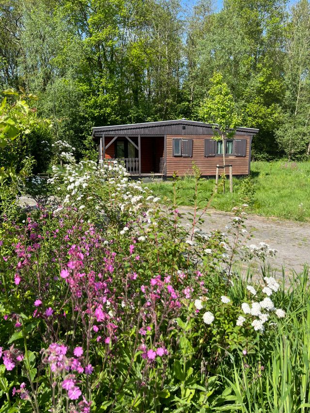 Uitzicht op chalet