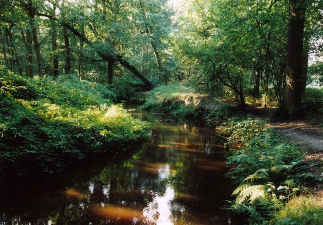 Natuurgebied De Berken Liessel