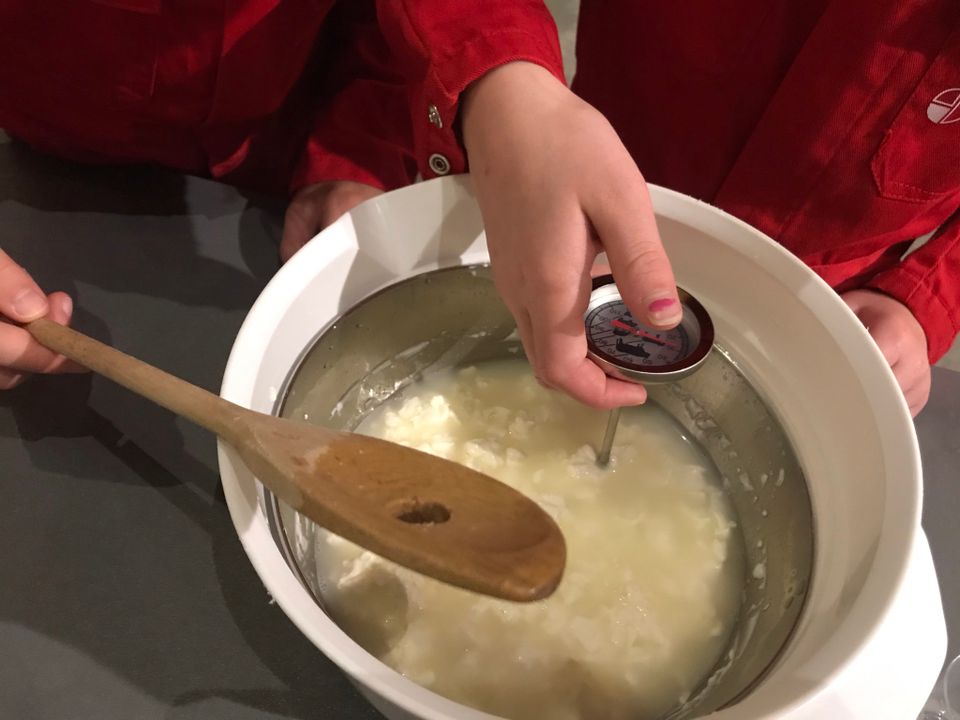 Op Dairy Campus wordt in de voorjaarsvakantie de workshop kaasmaken gegeven.