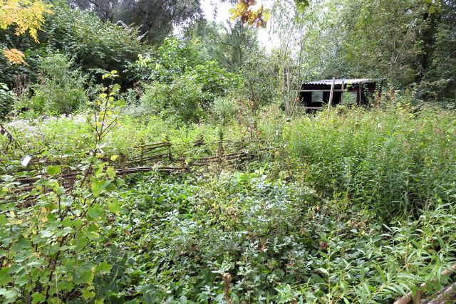 Nature work days Aarle-Rixtel
