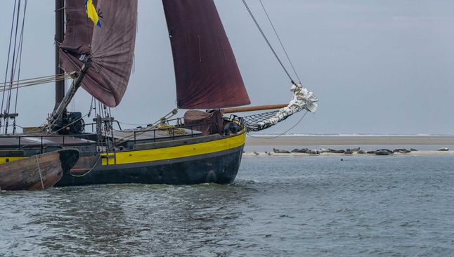 item-image