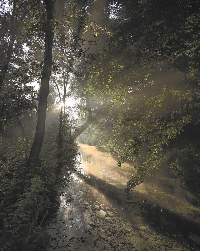 Restgeul Kromme IJssel in buurt van Klaphek