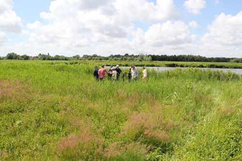 Mensen die in het weiland lopen