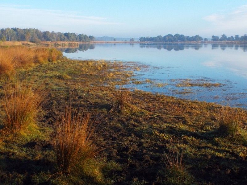 Kuikeindse Heide