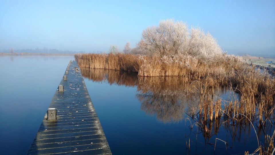 Marrekrite steiger aan de Geeuw tussen IJlst en Sneek