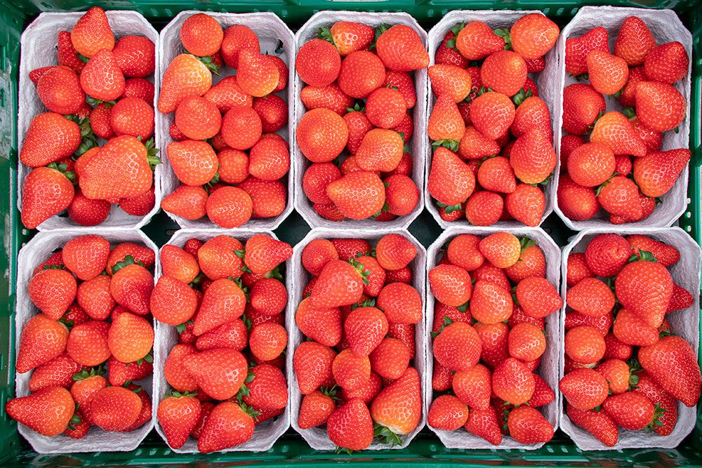 Vermeulen Tuinbouw aardbeien in een doosje