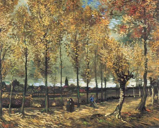 Blick auf Nuenen im Herbst, gesehen durch eine von Bäumen gesäumte Allee.