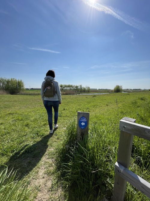 Een vrouw met rugzak wandelt in polder in Kruisland.